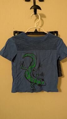 Boys Size 2T Outfit Jumping Beans Lizard T-shirt + Garanimals Drawstring Shorts
